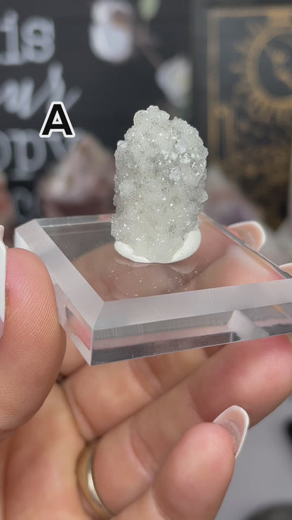 Sugar Coated Danburite Specimens