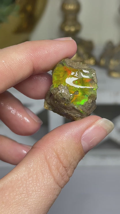 Ethiopian Welo Water Opal (Jar Included)