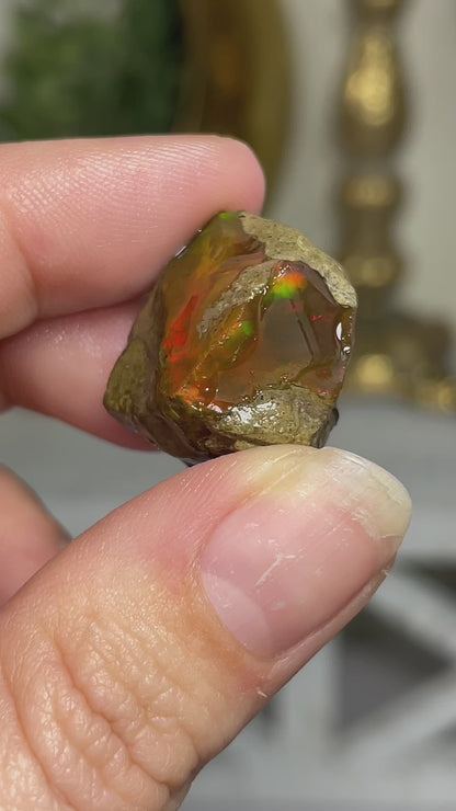 Ethiopian Welo Water Opal (Jar Included)