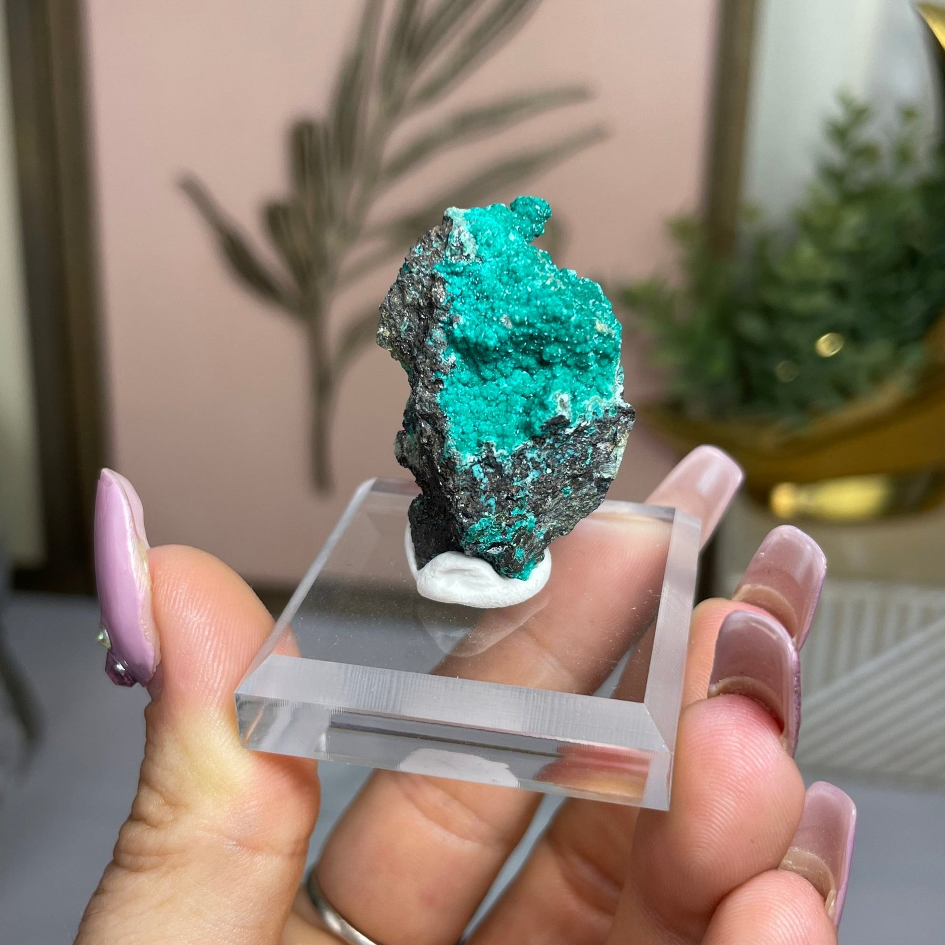 Super Sparkly✨Chrysocolla Malachite Specimens - Jayde and Jewels