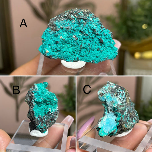 Super Sparkly✨Chrysocolla Malachite Specimens - Jayde and Jewels